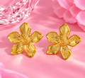 BOUCLE D'OREILLES FLYERS